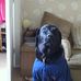 Profile Picture of Ruby Roo Hotchkiss (@rubyroo.hotchkiss) on Facebook