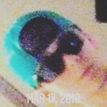 Profile Picture of andrew rickman (@rickman.andrew) on Instagram