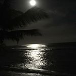 Profile Picture of Benjamin Caskey (@benjamin.caskey.7) on Instagram