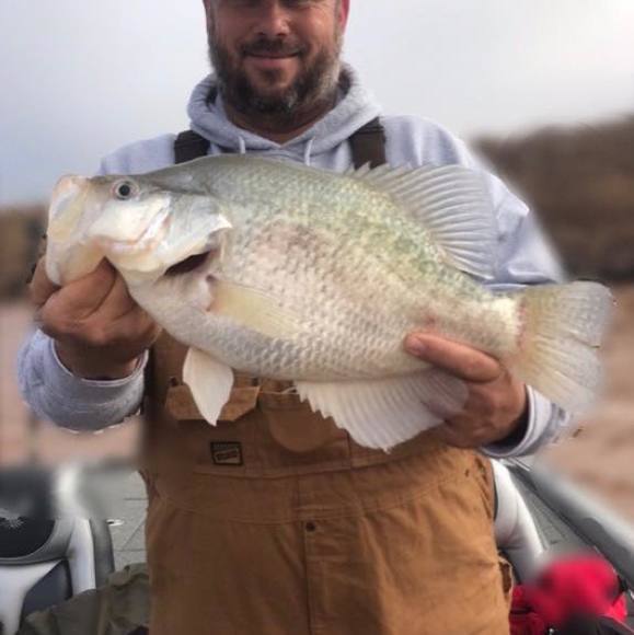 Profile Picture of Robert Loar (@littlemoney) on Poshmark