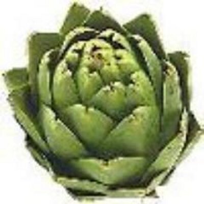 Profile Picture of Jon Schild (@JonSchild) on Twitter