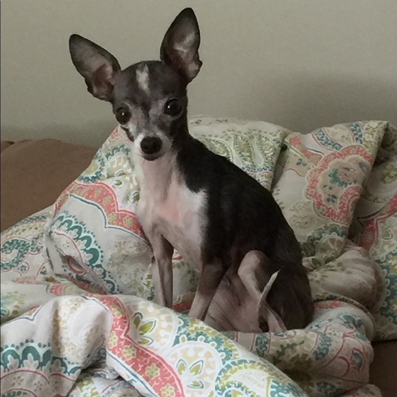 Profile Picture of Tanaya Vannorman (@firefly45512) on Poshmark