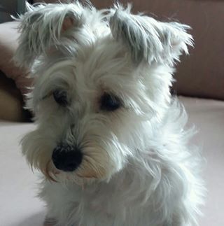 Kit Sin - Facebook Profile Picture of Kit Sin (@kit.sin.165) on Facebook