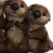 Profile Picture of Matthew Laskowski (@matthewlaskowski) on Pinterest