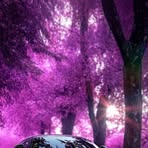 Profile Picture of Aron D Etown (@Aron-D-Etown) on Facebook