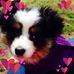 Profile Picture of Linda Brasher (@linda.brasher.39) on Facebook