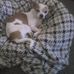 Profile Picture of Lori Boese (@lori.boese.10) on Facebook