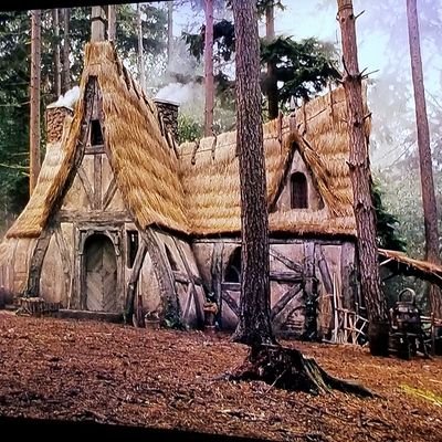 Profile Picture of Scott Stubbs (@ScottStubbs17) on Twitter