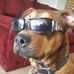 Profile Picture of Jayson Card (@jayson.card.1) on Facebook