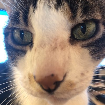 Profile Picture of Adam Glynn (@adam_42096) on Twitter