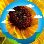 Profile Picture of Mitch Denise Bradley (@Mitch-Denise-Bradley) on Facebook