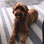 Profile Picture of BruceMacRae (@bruce.macrae.98) on Instagram