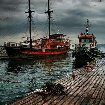Profile Picture of Kareem Abo EI Hamad (@ei_hamad) on Twitter