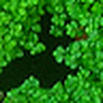 Profile Picture of Mauricio Rubio (@gatomágico) on Flickr