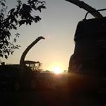Profile Picture of leo (@holtzleo2006) on Instagram