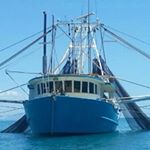 Profile Picture of Brett's Trawler Direct Seafood (@reisseafoodptyltd) on Instagram