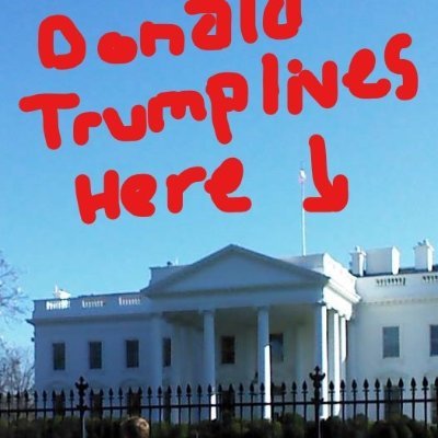 Profile Picture of Steven Antonucci (@StevenAntonuc14) on Twitter