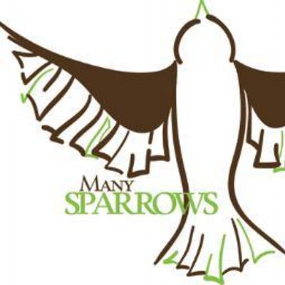Profile Picture of Andrew Kaehr (@manysparrowsLLC) on Twitter