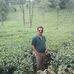 Profile Picture of Ajay Chadha (@ajay.chadha.393) on Facebook