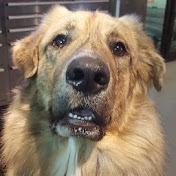 Profile Picture of Derek Dupont (@derekdupont8340) on Youtube