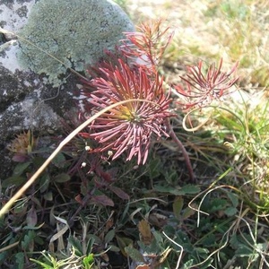 Profile Picture of Dorottya Tóth (@142771278) on Myspace