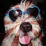 Profile Picture of Heatherly Murkins-Szumlanski (@heatherly99) on Instagram