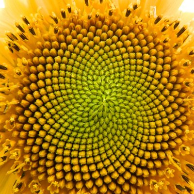 Profile Picture of Sophia Boucher (@boucher_sophia) on Twitter