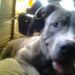 Profile Picture of Isaac Juarez (@izecc123) on Pinterest