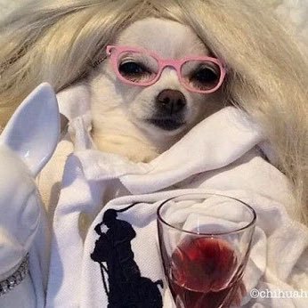 Profile Picture of Richmond Harrison’s Wine Aunt (@LeeVnnyHarrison) on Twitter