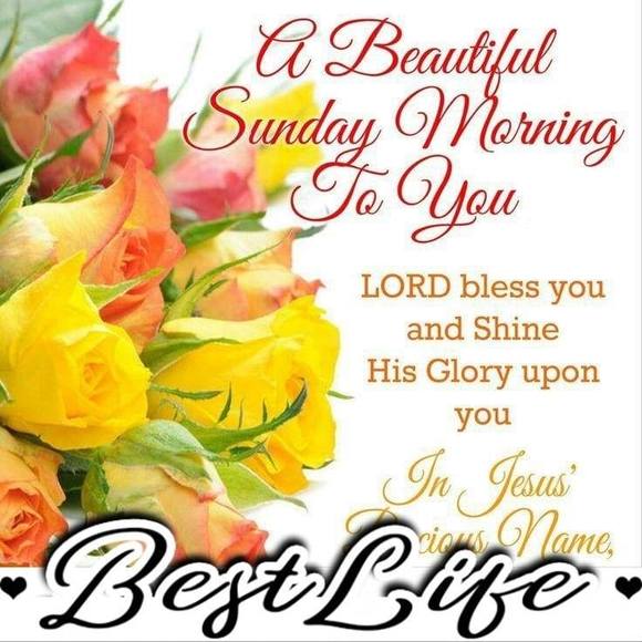 Donna Figaro - Poshmark Profile Picture of Donna Figaro (@kathyfigaro63) on Poshmark