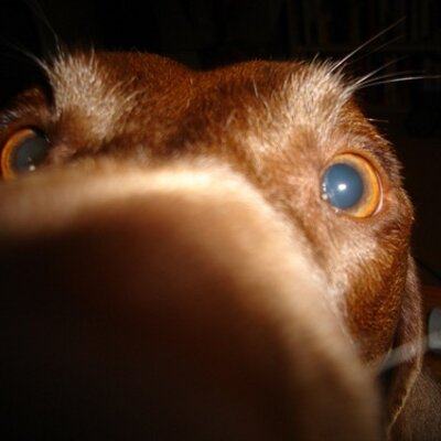 Profile Picture of Chris Henson (@thechrishenson) on Twitter