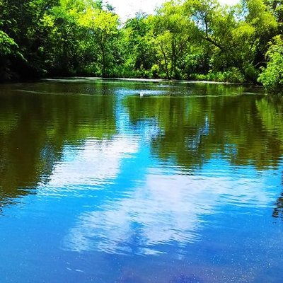 Profile Picture of Tracy Conant (@ConantTracy) on Twitter