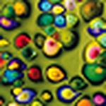 Profile Picture of Moore Jordan (@heavencolors) on Flickr