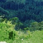 Profile Picture of Kyle santiago rodriguez rojas (@kyle.rodriguezrojas) on Instagram