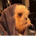 Profile Picture of Omar Sosa Martinez III (@almghtysosa) on Instagram