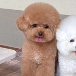 Profile Picture of Brandon Curington (@eldrakefr) on Instagram