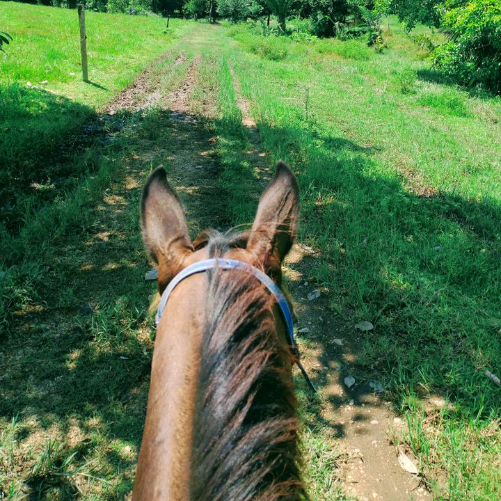 Profile Picture of Jonathan Montero (@jonathanmonteromorales) on Tiktok