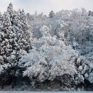 Profile Picture of Kozul (@kouzl1) on Tiktok