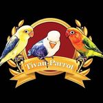 Profile Picture of Tivan parrot (@tivanparrot) on Instagram