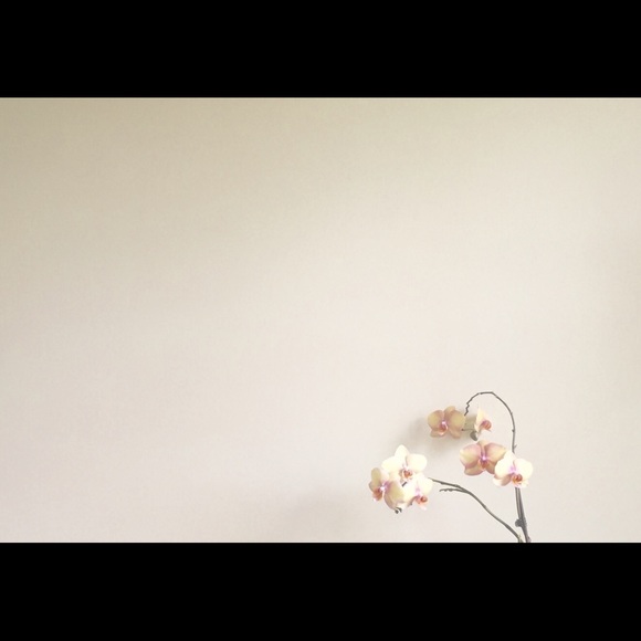 Profile Picture of Mercedes Armella (@merarmella) on Poshmark