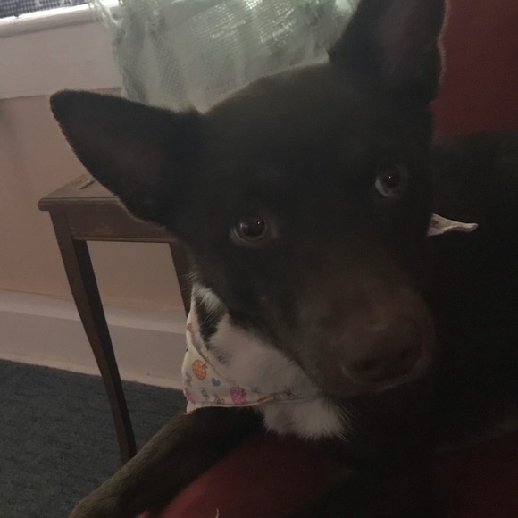 Fiona Mcguire - Poshmark Profile Picture of Fiona Mcguire (@lfmcguire) on Poshmark