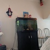 Profile Picture of Felicity Moore (@@user209263656) on Tiktok