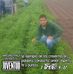 Profile Picture of Paul Chavez Vera (@paul.chavezvera.7) on Facebook