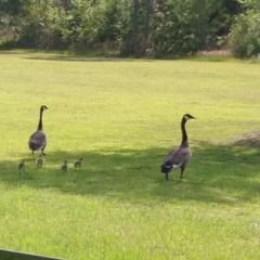 Profile Picture of Brock Heath (@the_brockheath) on Twitter