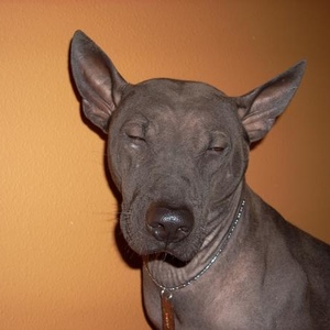 Profile Picture of Andrew Chantry (@ar19chan) on Myspace