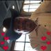 Profile Picture of David Hartman (@david.hartman.184881) on Facebook