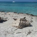 Profile Picture of lorena montoya (@lore_estefani_21) on Instagram