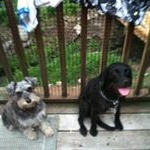 Profile Picture of Lucky,Maggie Zeller (@zeller.colin) on Instagram