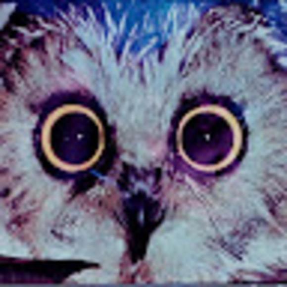 Profile Picture of Michael Barringer (@mikeybarringer) on Poshmark