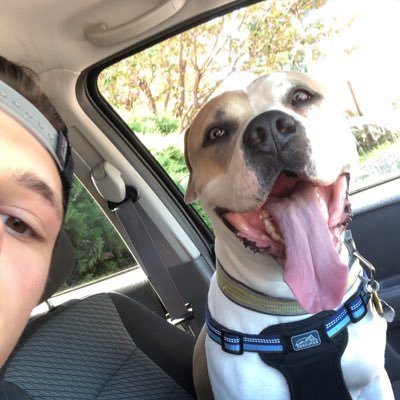 Profile Picture of VanWinkle (@AlexDomo62601) on Twitter